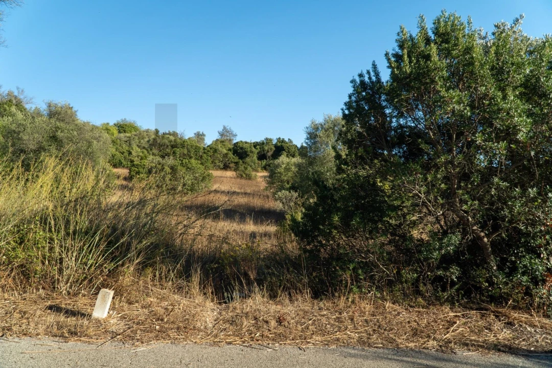 Terreno para Venda em Loule (São Clemente) Foto 12