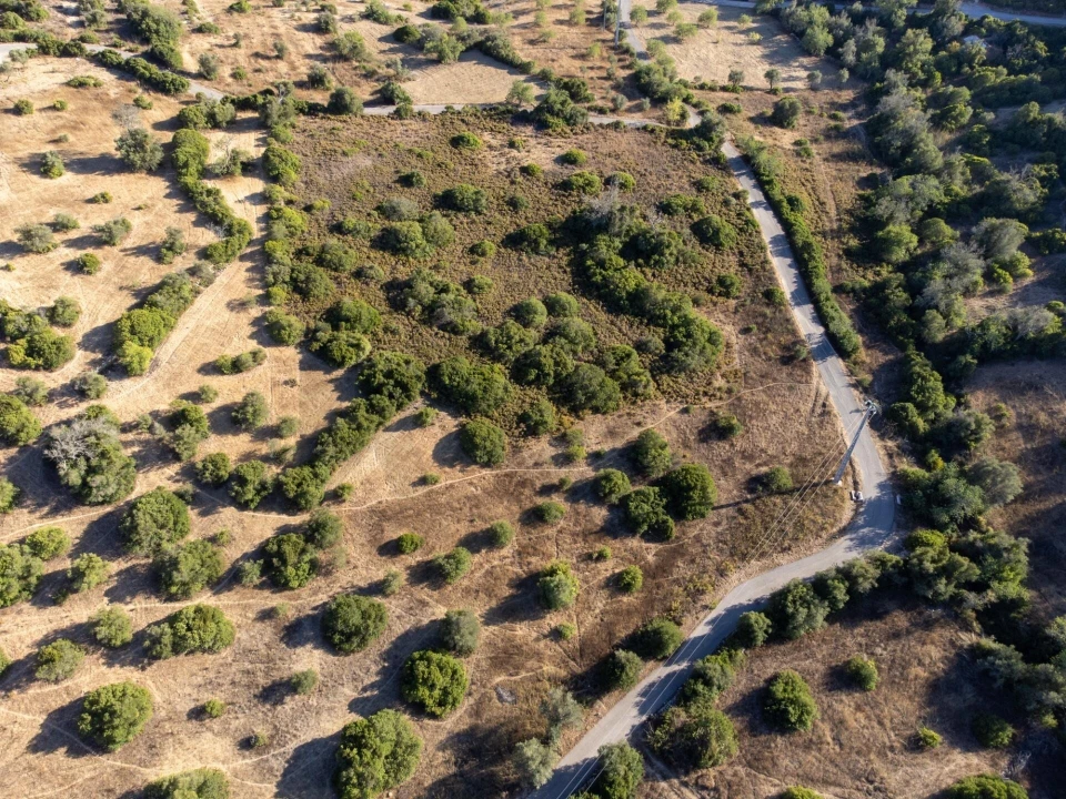 Terreno para Venda em Loule (São Clemente) Foto 7