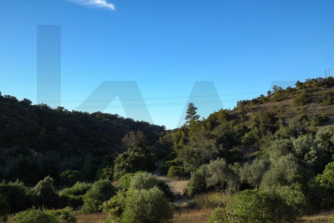 Terreno para Venda em Loule (São Clemente) Foto 24