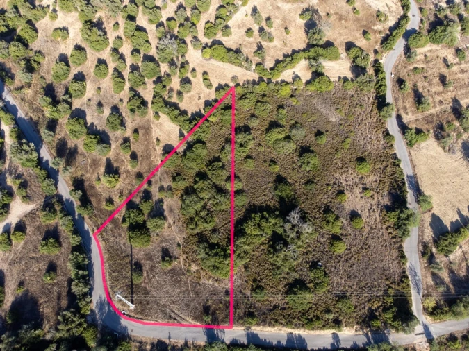 Terreno para Venda em Loule (São Clemente) Foto 3