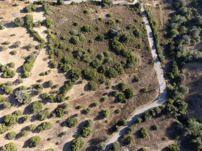 Terreno para Venda em Loule (São Clemente) Foto 8