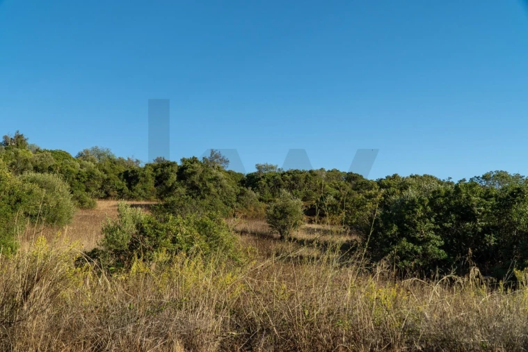 Terreno para Venda em Loule (São Clemente) Foto 14