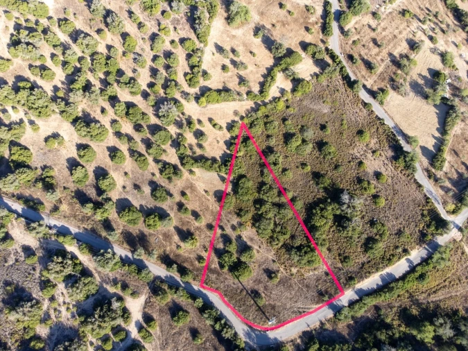 Terreno para Venda em Loule (São Clemente) Foto 4