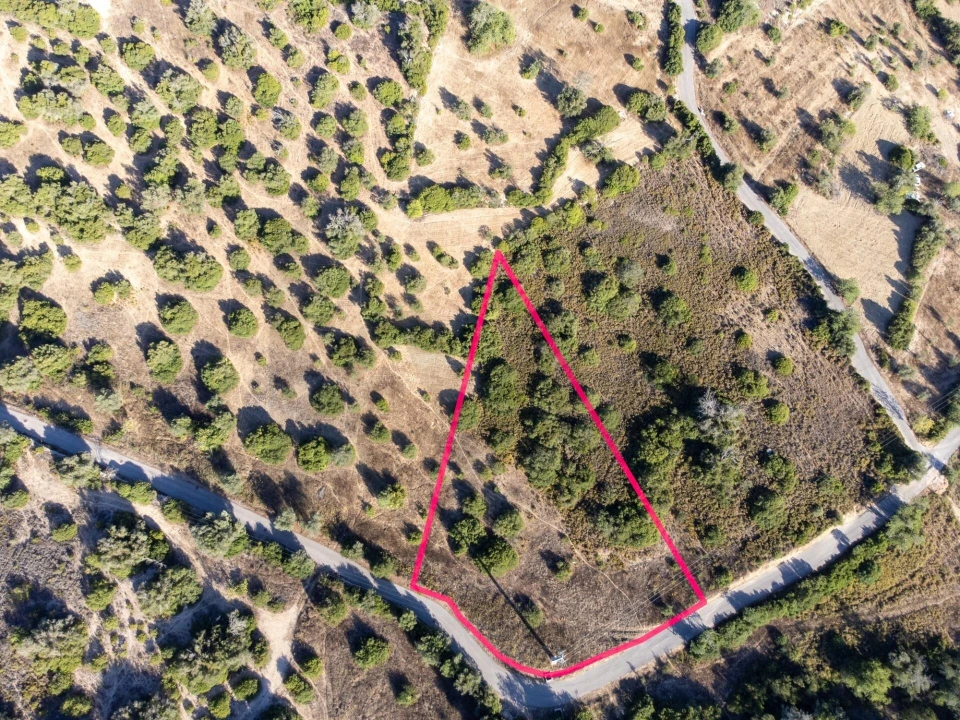Terreno para Venda em Loule (São Clemente) Foto 4