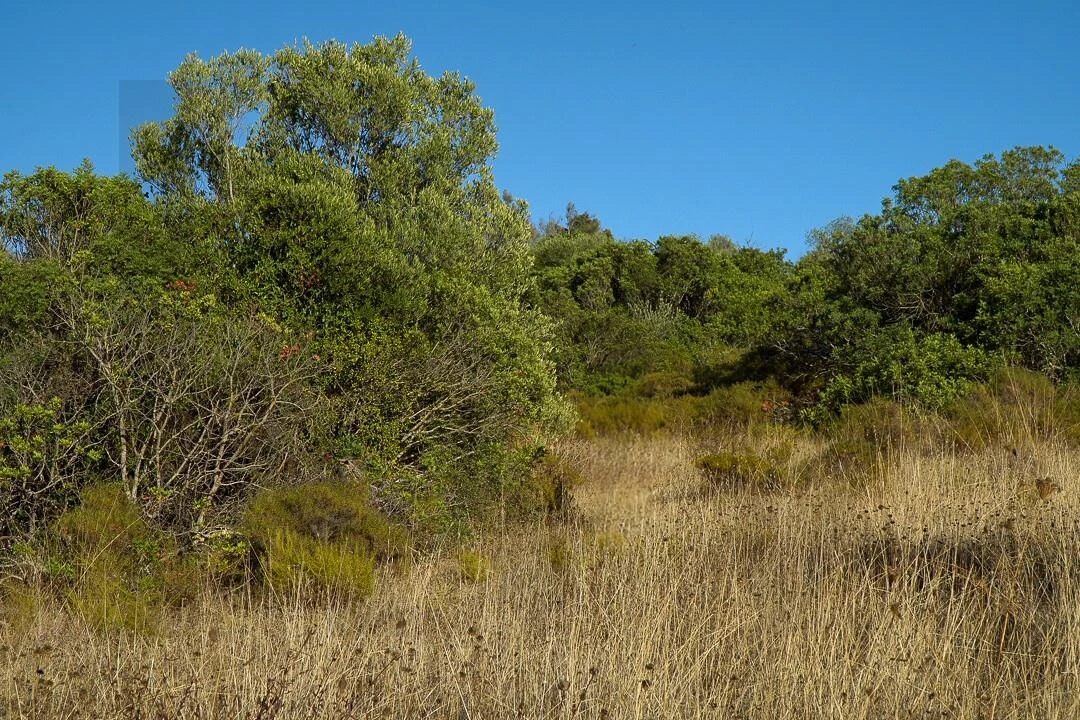 Terreno para Venda em Loule (São Clemente) Foto 20