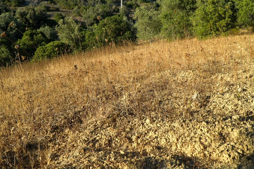 Terreno para Venda em Loule (São Clemente) Foto 25