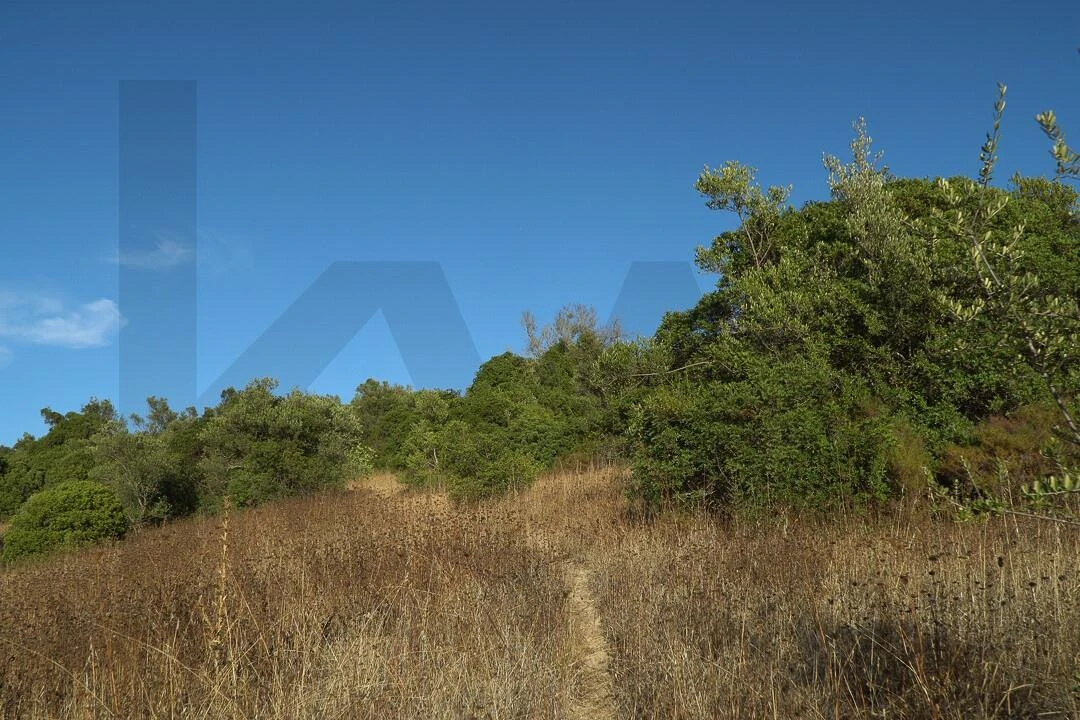 Terreno para Venda em Loule (São Clemente) Foto 23