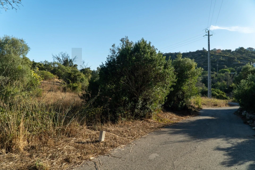 Terreno para Venda em Loule (São Clemente) Foto 11