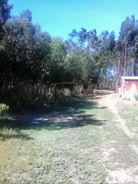 Terreno Agricola ou Rústico para Venda em São Bartolomeu dos Galegos e Moledo