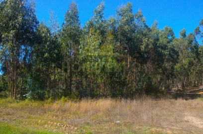 Terreno Agricola ou Rústico para Venda em São Bartolomeu dos Galegos e Moledo