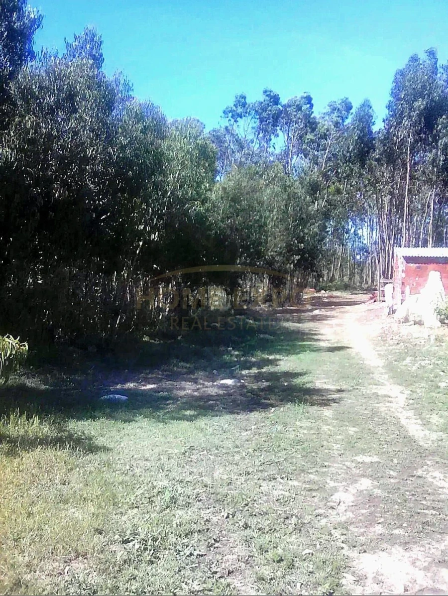 Terreno Agricola ou Rústico para Venda em São Bartolomeu dos Galegos e Moledo Foto 3