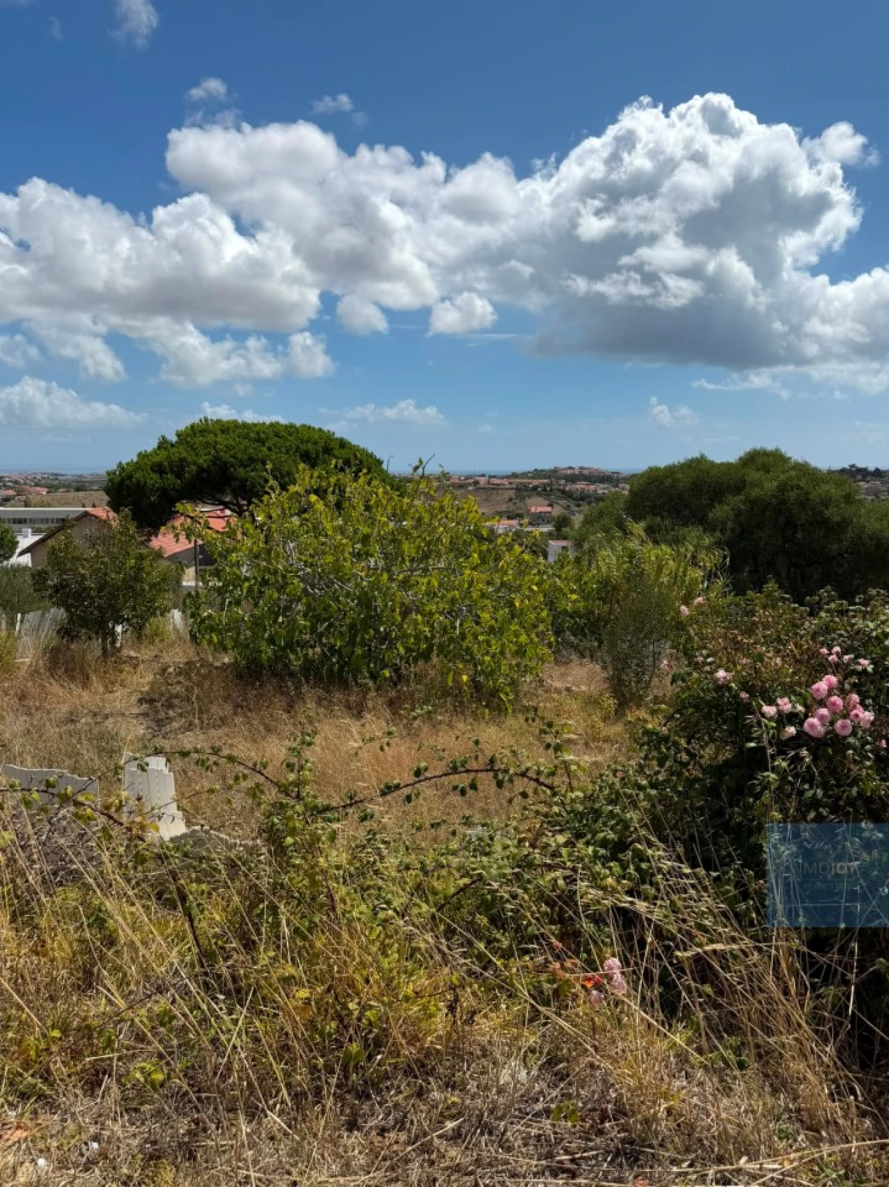 Terreno para Venda em Alcabideche Foto 6