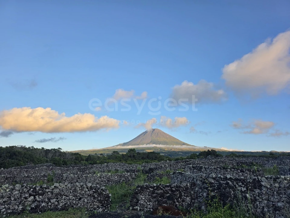 Terreno para Venda em Bandeiras Foto 4