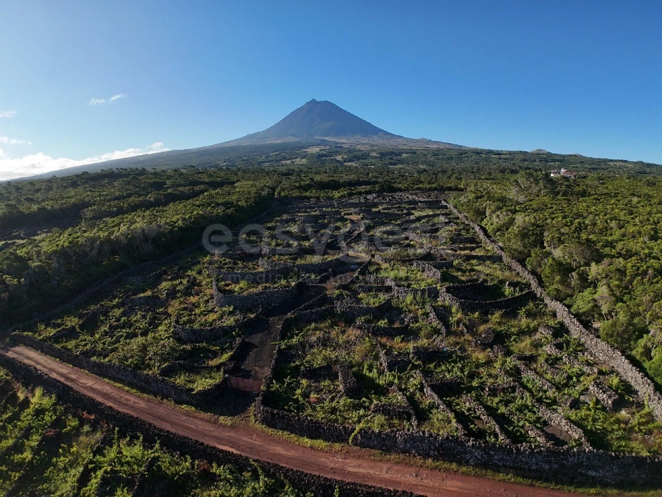 Terreno para Venda em Bandeiras Foto 7