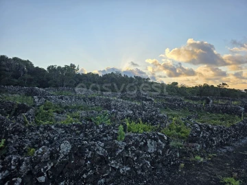 Terreno para Venda em Bandeiras