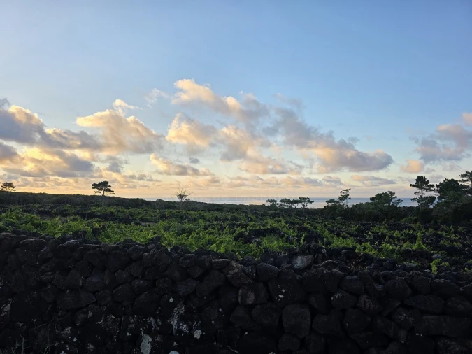 Terreno para Venda em Bandeiras Foto 8