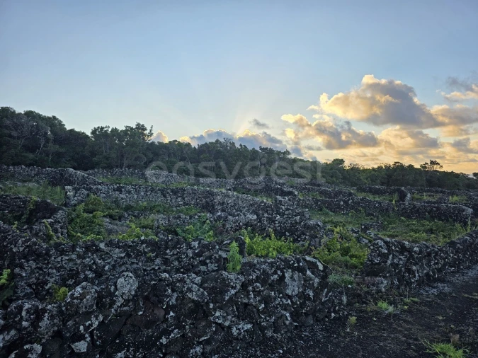 Terreno para Venda em Bandeiras Foto 11