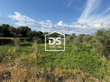 Terreno Agricola ou Rústico para Venda em Forno Telheiro