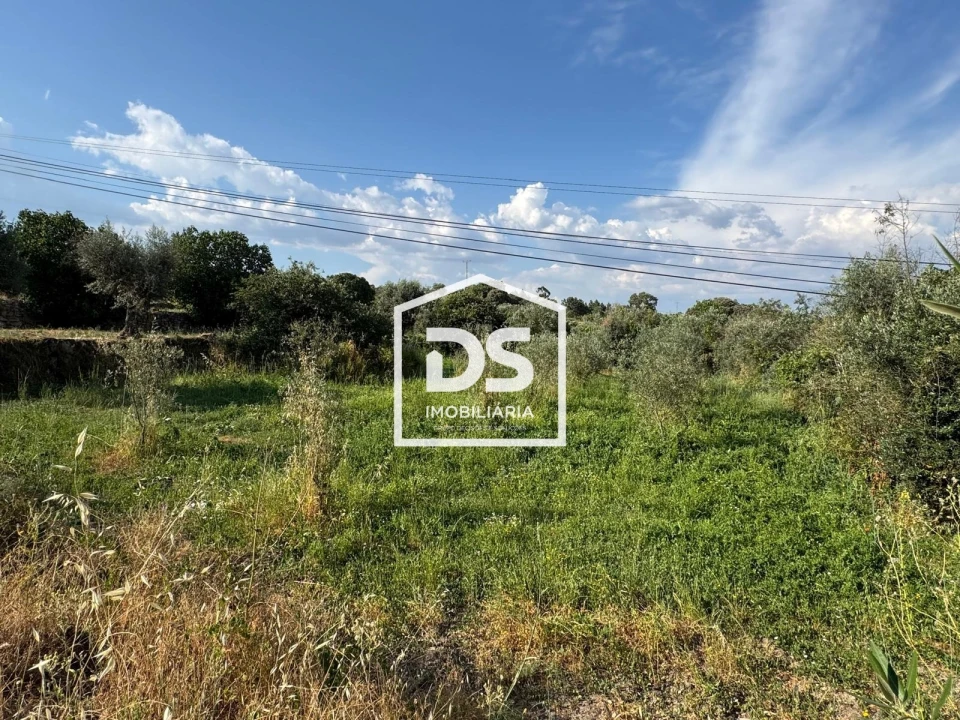 Terreno Agricola ou Rústico para Venda em Forno Telheiro Foto 5