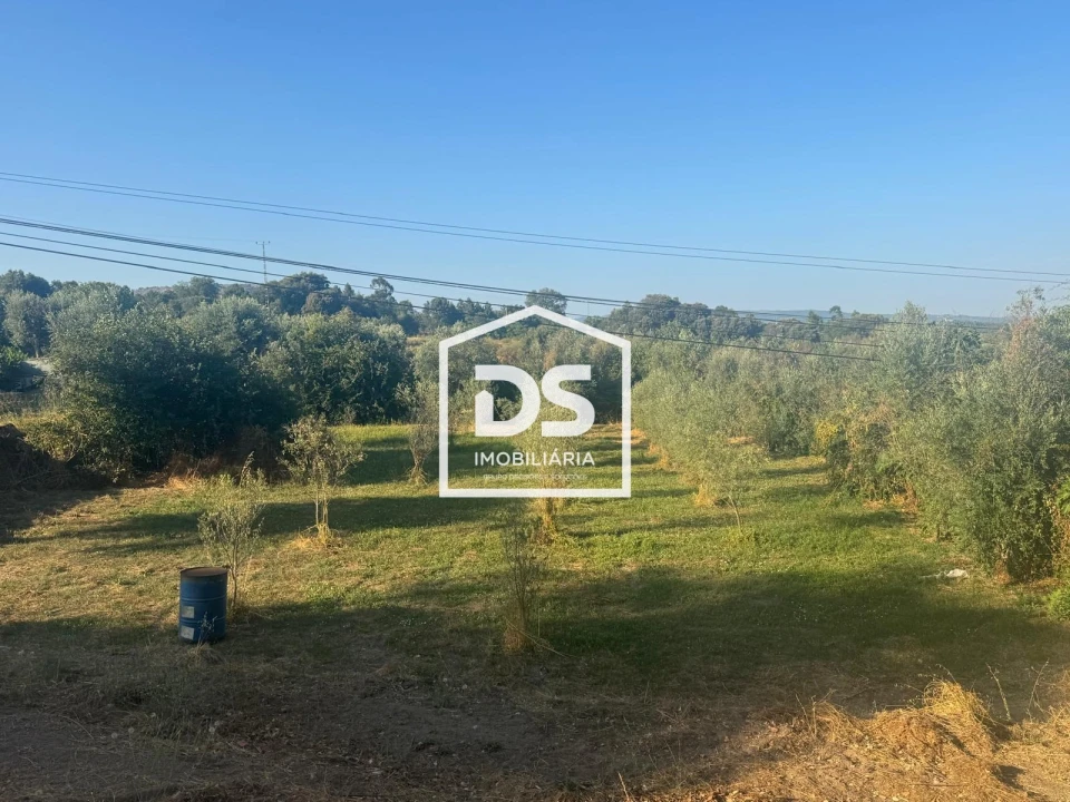 Terreno Agricola ou Rústico para Venda em Forno Telheiro Foto 7