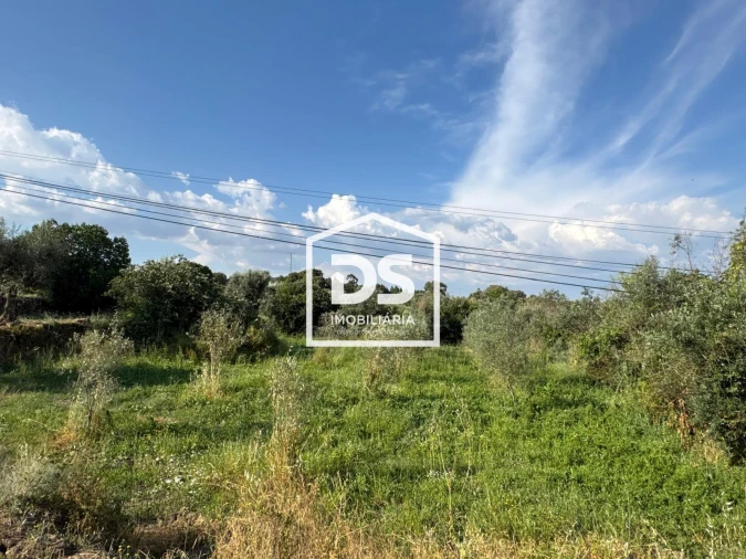 Terreno Agricola ou Rústico para Venda em Forno Telheiro Foto 2