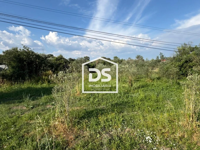 Terreno Agricola ou Rústico para Venda em Forno Telheiro Foto 3