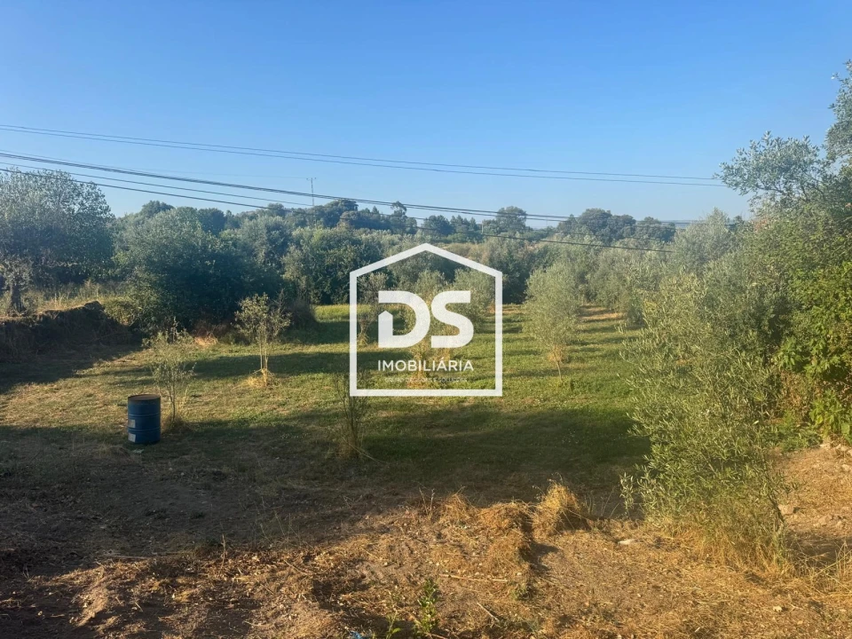 Terreno Agricola ou Rústico para Venda em Forno Telheiro Foto 8