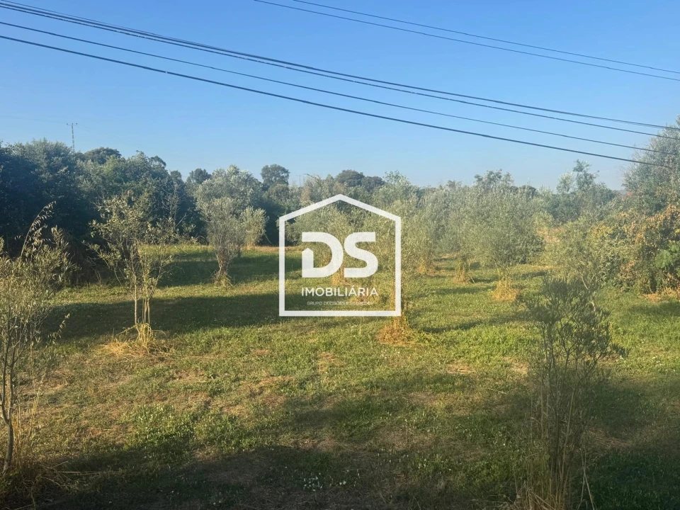Terreno Agricola ou Rústico para Venda em Forno Telheiro Foto 4