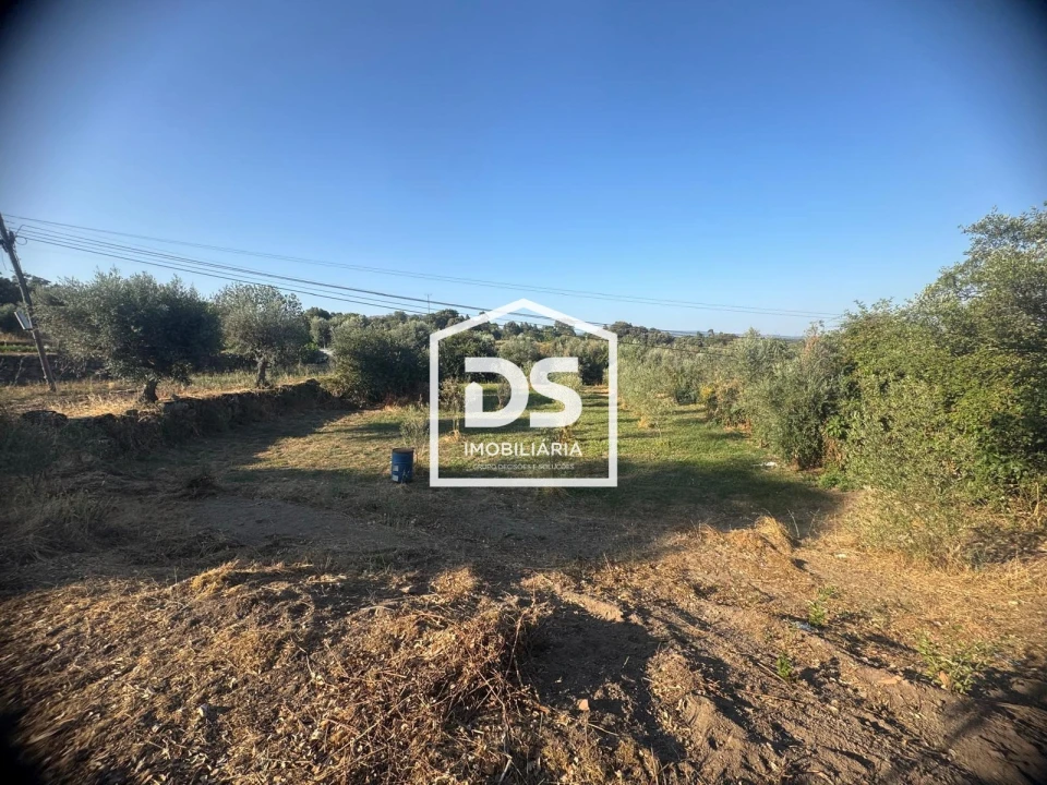 Terreno Agricola ou Rústico para Venda em Forno Telheiro Foto 1