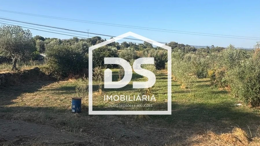 Terreno Agricola ou Rústico para Venda em Forno Telheiro