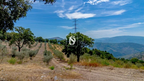 Terreno Agricola ou Rústico para Venda em Poiares e Canelas