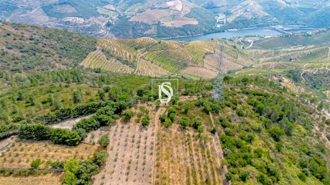 Terreno Agricola ou Rústico para Venda em Poiares e Canelas