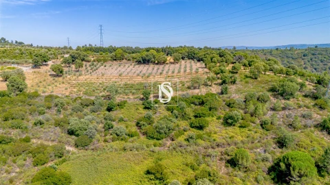 Terreno Agricola ou Rústico para Venda em Poiares e Canelas