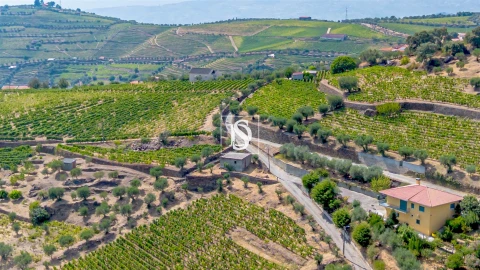 Terreno Agricola ou Rústico para Venda em Poiares e Canelas