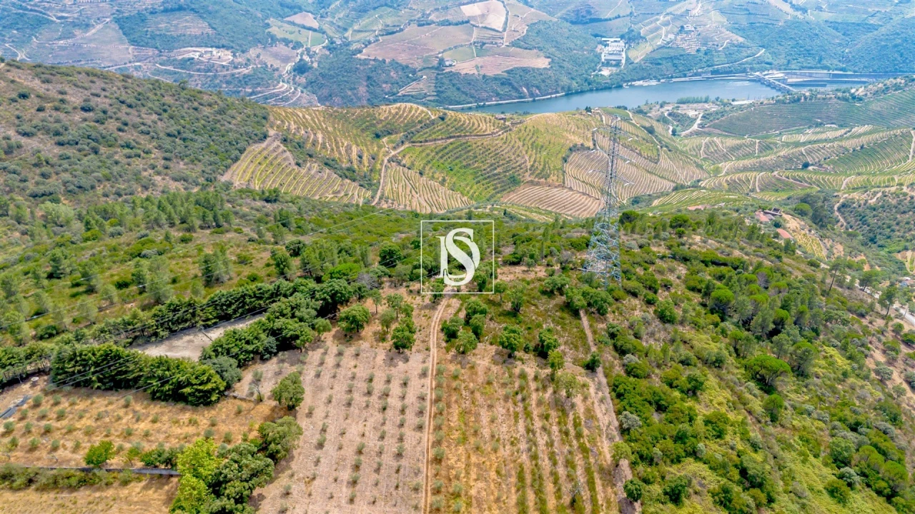Terreno Agricola ou Rústico para Venda em Poiares e Canelas Foto 12