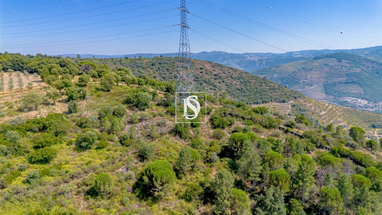 Terreno Agricola ou Rústico para Venda em Poiares e Canelas Foto 3