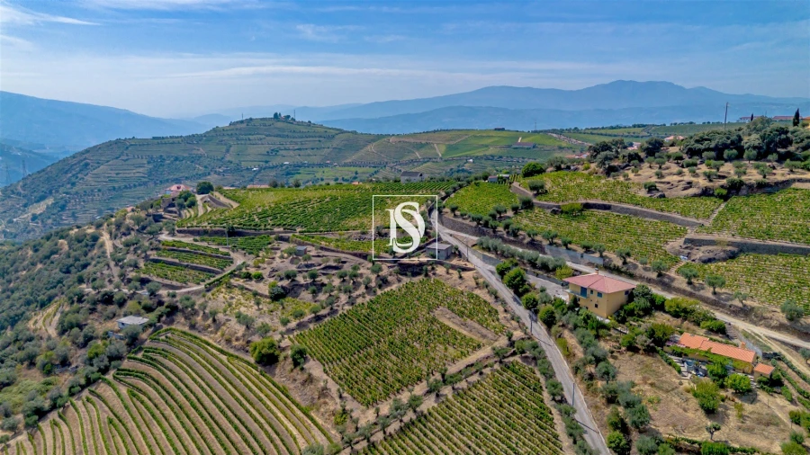 Terreno Agricola ou Rústico para Venda em Poiares e Canelas Foto 7