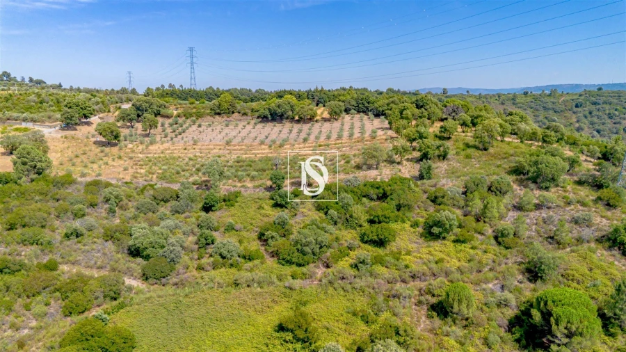 Terreno Agricola ou Rústico para Venda em Poiares e Canelas Foto 4