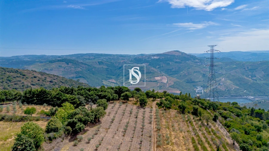 Terreno Agricola ou Rústico para Venda em Poiares e Canelas Foto 9