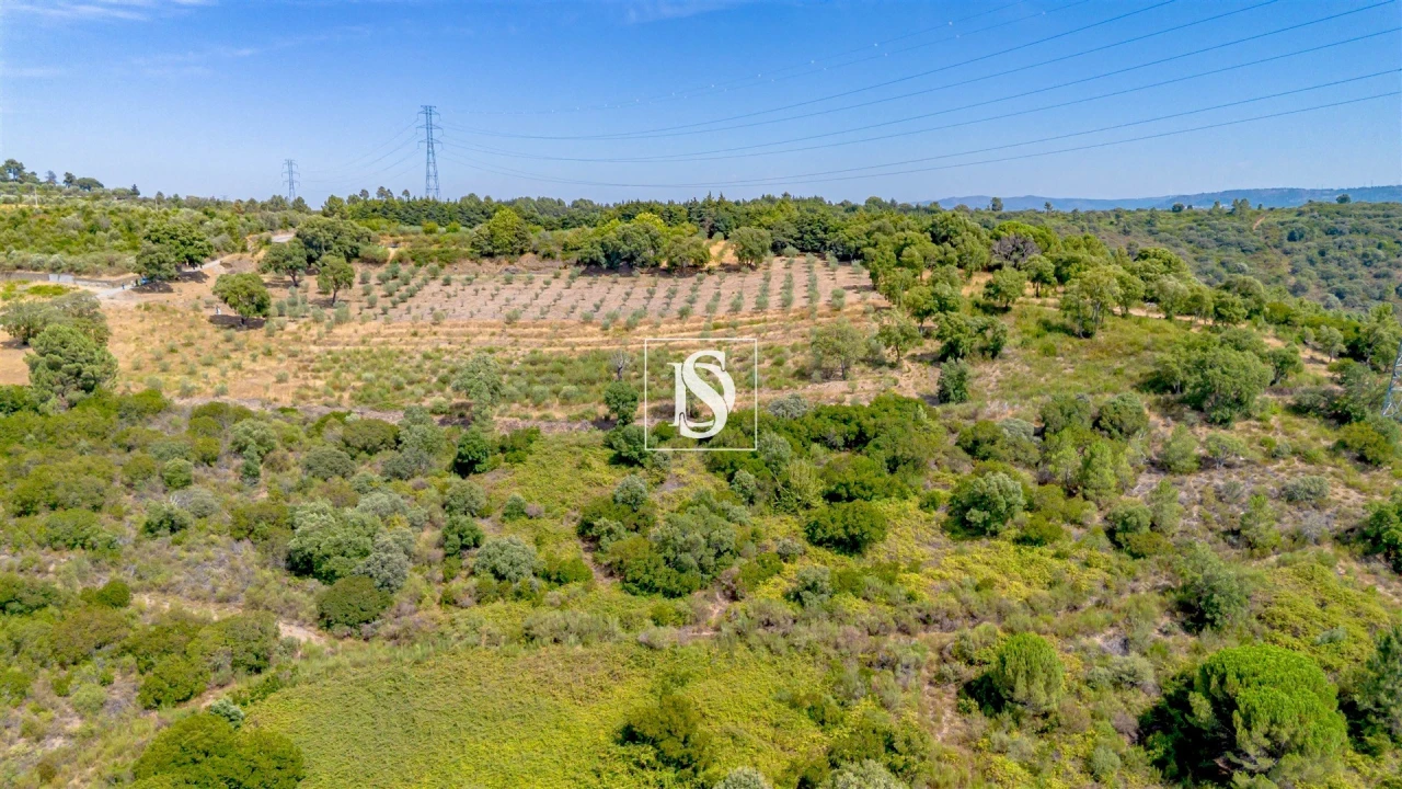 Terreno Agricola ou Rústico para Venda em Poiares e Canelas Foto 4