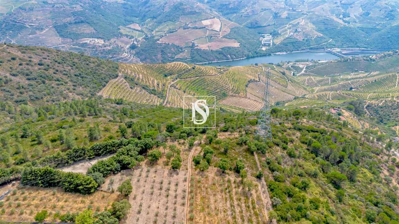 Terreno Agricola ou Rústico para Venda em Poiares e Canelas Foto 11
