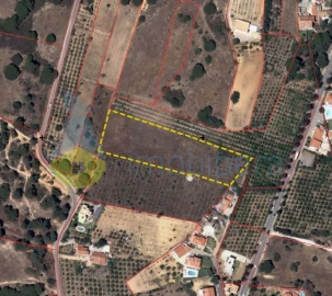 Terreno Agricola ou Rústico para Venda em Albufeira e Olhos de Água