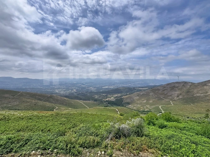 Moradia T3 para Venda em Gandra e Taião Foto 42