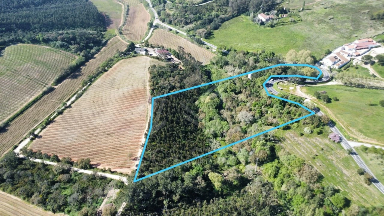 Terreno para Venda em Vidais Foto 2