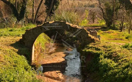 Terreno para Venda em Vidais