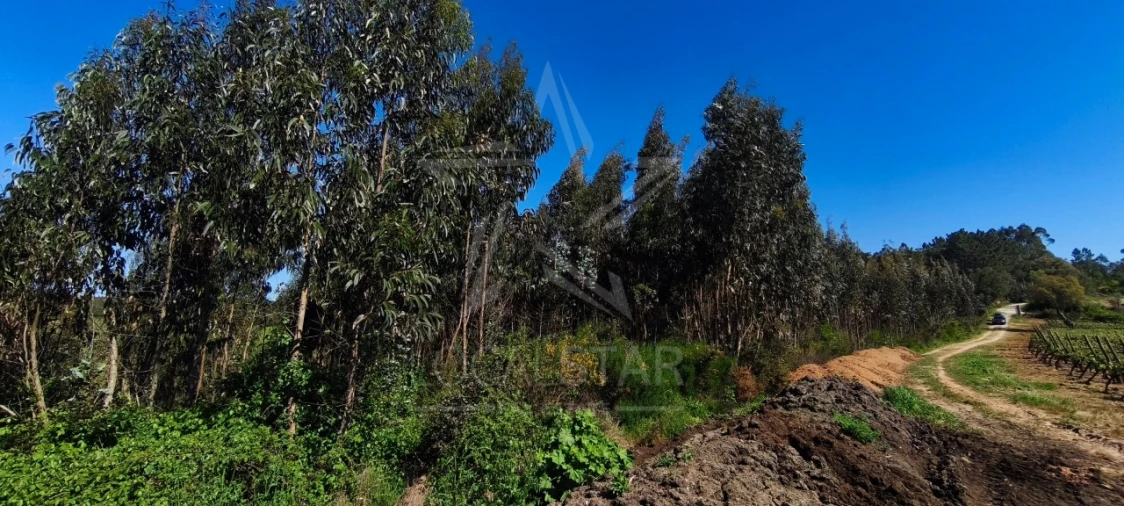 Terreno para Venda em Vidais Foto 9