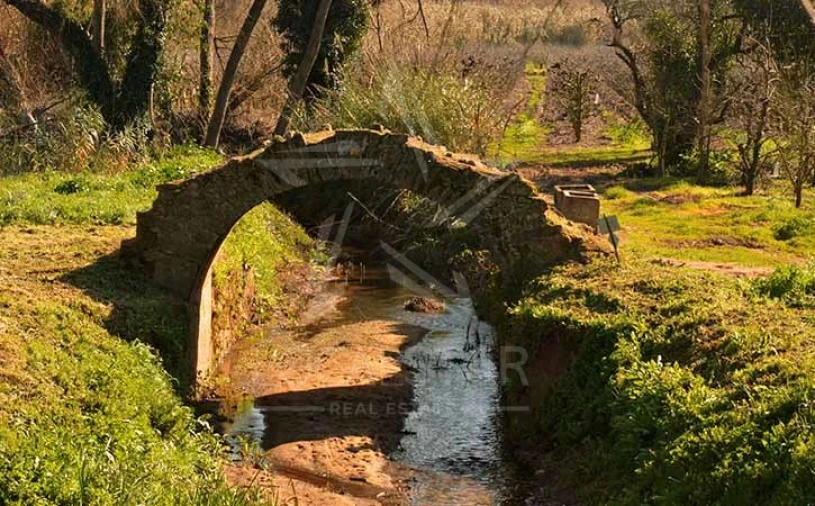 Terreno para Venda em Vidais Foto 21