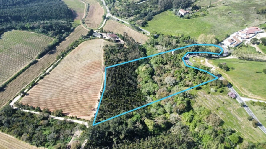 Terreno para Venda em Vidais Foto 2