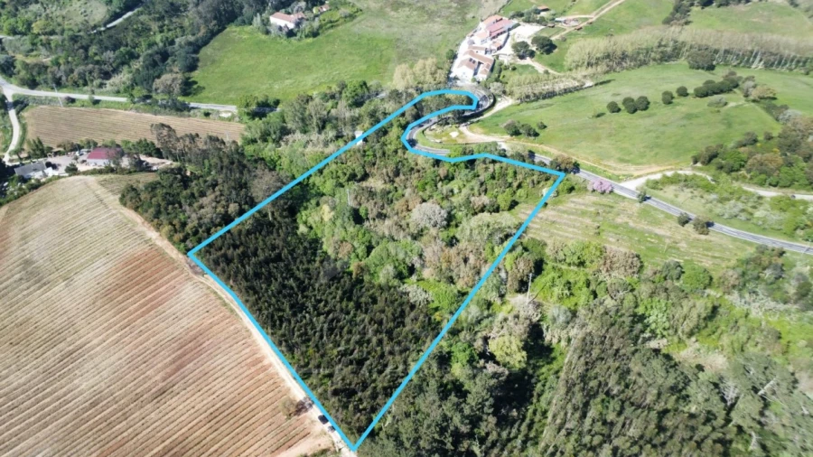Terreno para Venda em Vidais