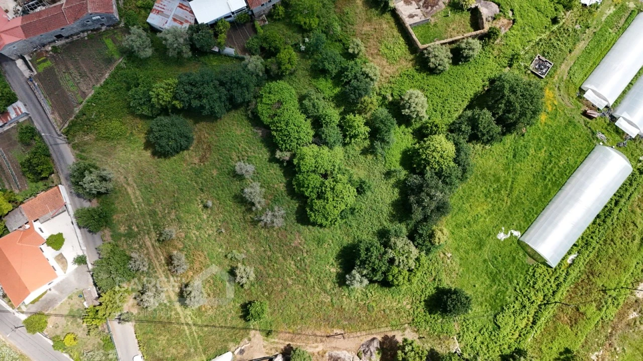 Terreno para Venda em Adães Foto 3